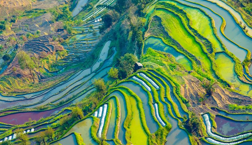 宝妈必备神器：武清区产品视频拍摄轻松育儿好帮手